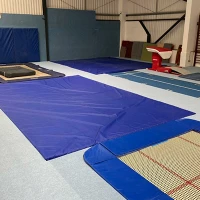 Martial Arts Wall Mats 0