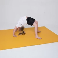 Martial Arts Wall Mats 7